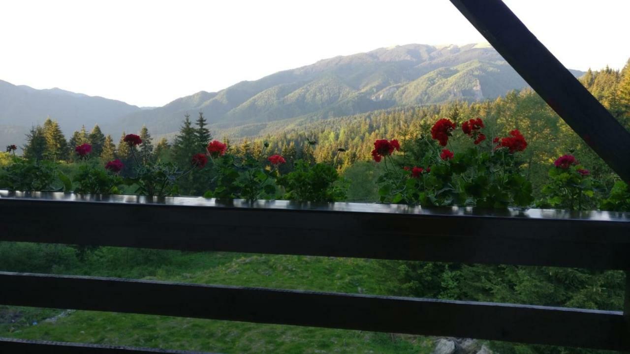 Nature House Предеал Екстериор снимка