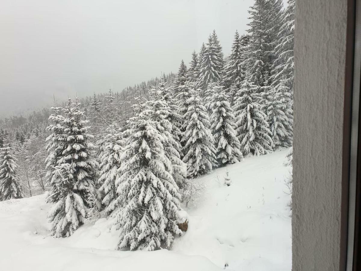 Nature House Предеал Екстериор снимка