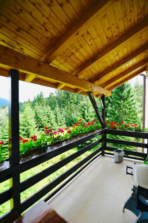 Nature House Предеал Екстериор снимка